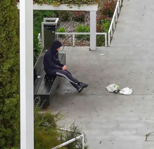 [443] ENCUADRADO Ana Maria Navarro Navarro